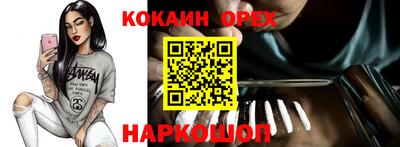 гашик Кингисепп