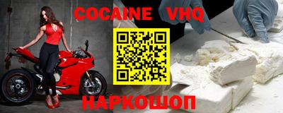 гашик Кингисепп