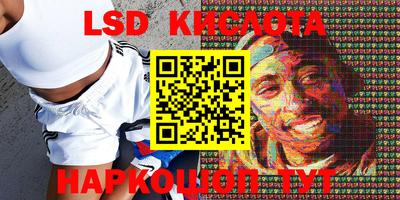 скорость Кимры