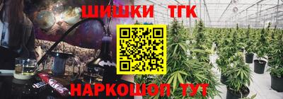 гашик Кингисепп