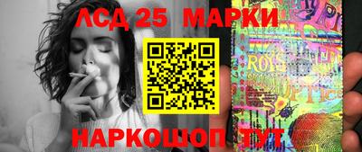 гашик Кингисепп
