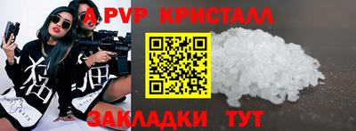 гашик Кингисепп