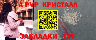 гашик Кингисепп