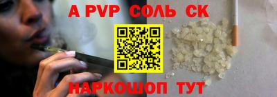 гашик Кингисепп