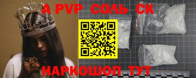 гашик Кингисепп