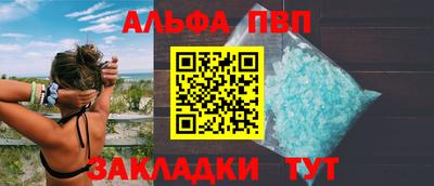 гашик Кингисепп