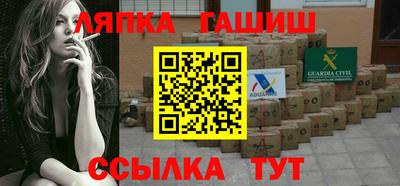 гашик Кингисепп
