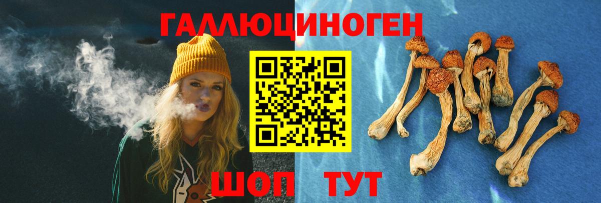 Бирск  Галлюциногенные грибы мухоморы  Вход с VPN 